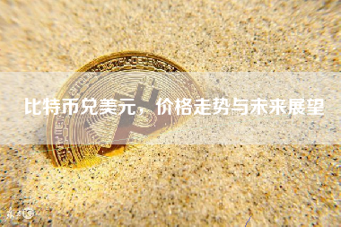 比特币兑美元,价格走势与未来展望 比特币兑美元,价格走势与未来展望