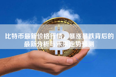 比特币最新价格行情,暴涨暴跌背后的最新分析与未来走势预测 比特币最新价格行情,暴涨暴跌背后的最新分析与未来走势预测