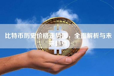 比特币历史价格走势图，全面解析与未来趋势