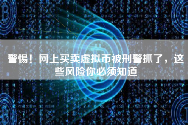 警惕!网上买卖虚拟币被刑警抓了,这些风险你必须知道 警惕!网上买卖虚拟币被刑警抓了,这些风险你必须知道