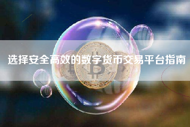 选择安全高效的数字货币交易平台指南
