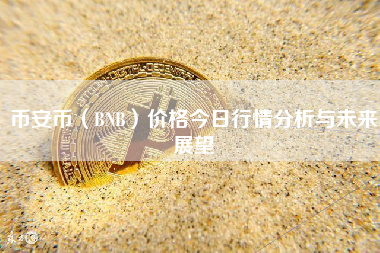 币安币（BNB）价格今日行情分析与未来展望