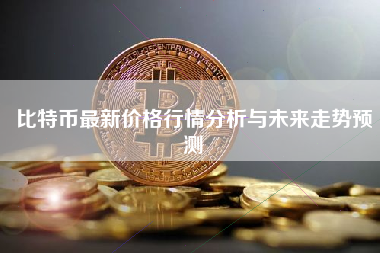 比特币最新价格行情分析与未来走势预测 比特币最新价格行情分析与未来走势预测