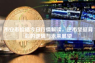 币安币价格今日行情解读，逆市坚挺背后的逻辑与未来展望