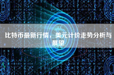 比特币最新行情，美元计价走势分析与展望
