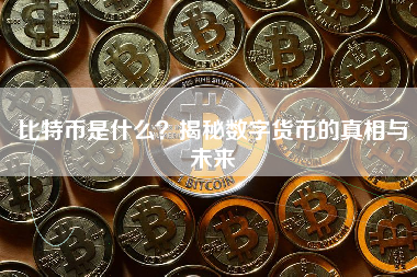 比特币是什么？揭秘数字货币的真相与未来