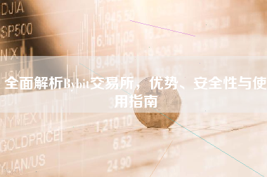 全面解析Bybit交易所，优势、安全性与使用指南
