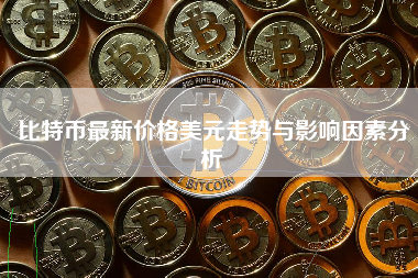 比特币最新价格美元走势与影响因素分析 比特币最新价格美元走势与影响因素分析