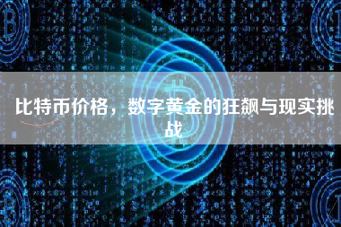 比特币价格,数字黄金的狂飙与现实挑战 比特币价格,数字黄金的狂飙与现实挑战