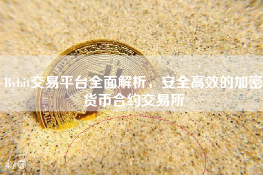 Bybit交易平台全面解析，安全高效的加密货币合约交易所