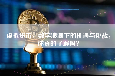 虚拟货币，数字浪潮下的机遇与挑战，你真的了解吗？