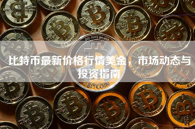 比特币最新价格行情美金，市场动态与投资指南