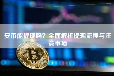 安币能提现吗？全面解析提现流程与注意事项