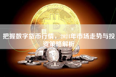 把握数字货币行情，2024年市场走势与投资策略解析