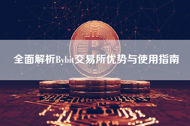 全面解析Bybit交易所优势与使用指南 全面解析Bybit交易所优势与使用指南