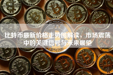 比特币最新价格走势图解读，市场震荡中的关键信号与未来展望