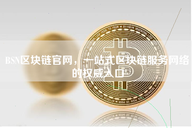BSN区块链官网，一站式区块链服务网络的权威入口