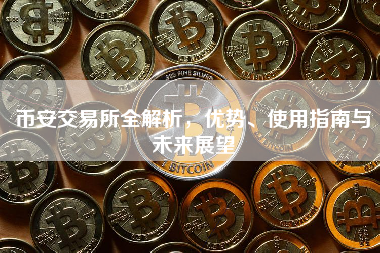 币安交易所全解析，优势、使用指南与未来展望