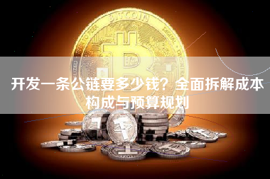 开发一条公链要多少钱？全面拆解成本构成与预算规划