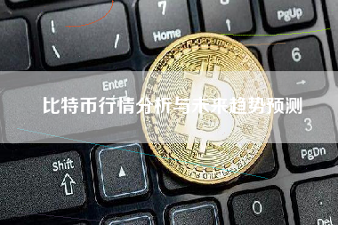 比特币行情分析与未来趋势预测