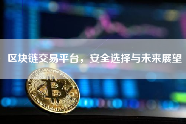 区块链交易平台，安全选择与未来展望