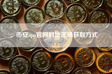 币安app官网网址正确获取方式
