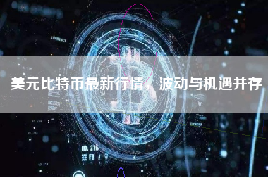 美元比特币最新行情，波动与机遇并存