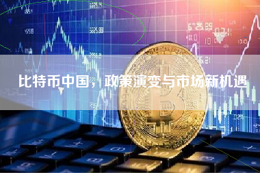 比特币中国，政策演变与市场新机遇