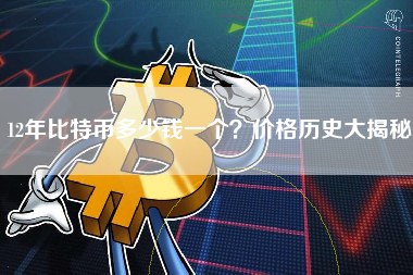 12年比特币多少钱一个？价格历史大揭秘