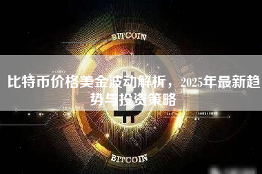比特币价格美金波动解析，2025年最新趋势与投资策略