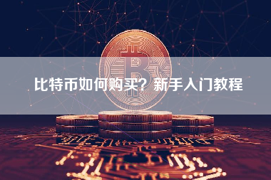 比特币如何购买?新手入门教程 比特币如何购买?新手入门教程