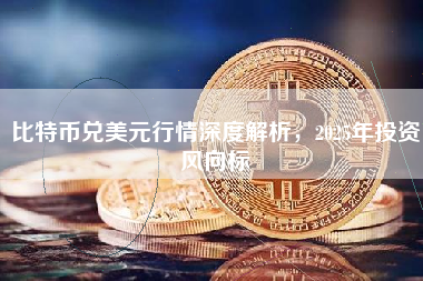 比特币兑美元行情深度解析，2025年投资风向标