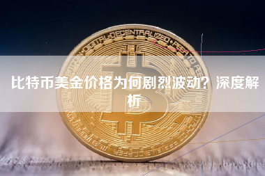 比特币美金价格为何剧烈波动？深度解析