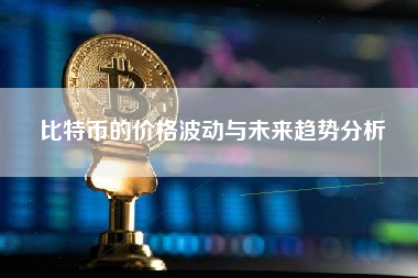 比特币的价格波动与未来趋势分析