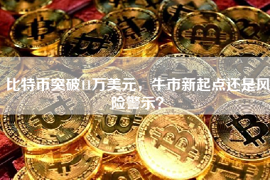 比特币突破11万美元,牛市新起点还是风险警示? 比特币突破11万美元,牛市新起点还是风险警示?