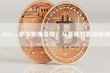 3DSlicer医学影像处理,从基础到高级应用 3DSlicer医学影像处理,从基础到高级应用