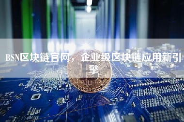 BSN区块链官网，企业级区块链应用新引擎
