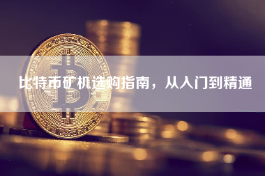 比特币矿机选购指南,从入门到精通 比特币矿机选购指南,从入门到精通