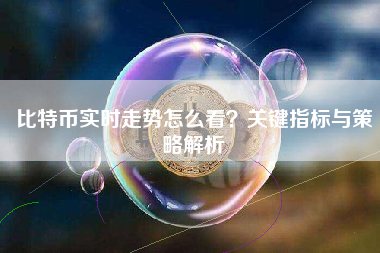 比特币实时走势怎么看？关键指标与策略解析