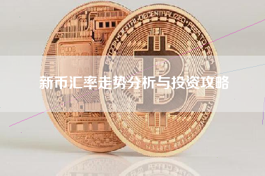 新币汇率走势分析与投资攻略 新币汇率走势分析与投资攻略