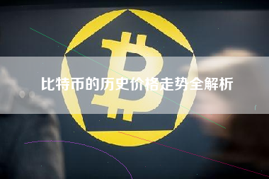 比特币的历史价格走势全解析 比特币的历史价格走势全解析