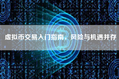 虚拟币交易入门指南,风险与机遇并存 虚拟币交易入门指南,风险与机遇并存