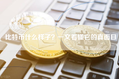 比特币什么样子?一文看懂它的真面目 比特币什么样子?一文看懂它的真面目