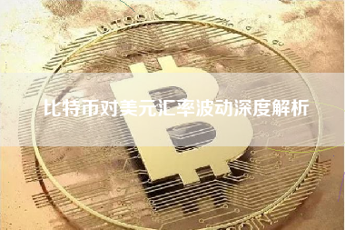 比特币对美元汇率波动深度解析 比特币对美元汇率波动深度解析