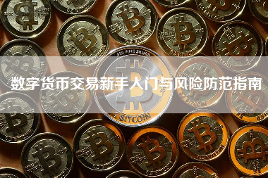 数字货币交易新手入门与风险防范指南