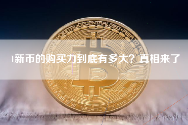 1新币的购买力到底有多大？真相来了