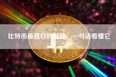 比特币最直白的解释,一句话看懂它 比特币最直白的解释,一句话看懂它