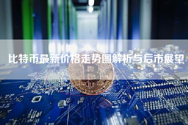 比特币最新价格走势图解析与后市展望
