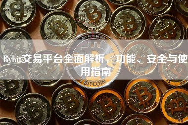 Bybit交易平台全面解析,功能、安全与使用指南 Bybit交易平台全面解析,功能、安全与使用指南