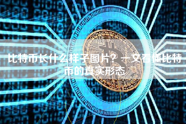 比特币长什么样子图片？一文看懂比特币的真实形态